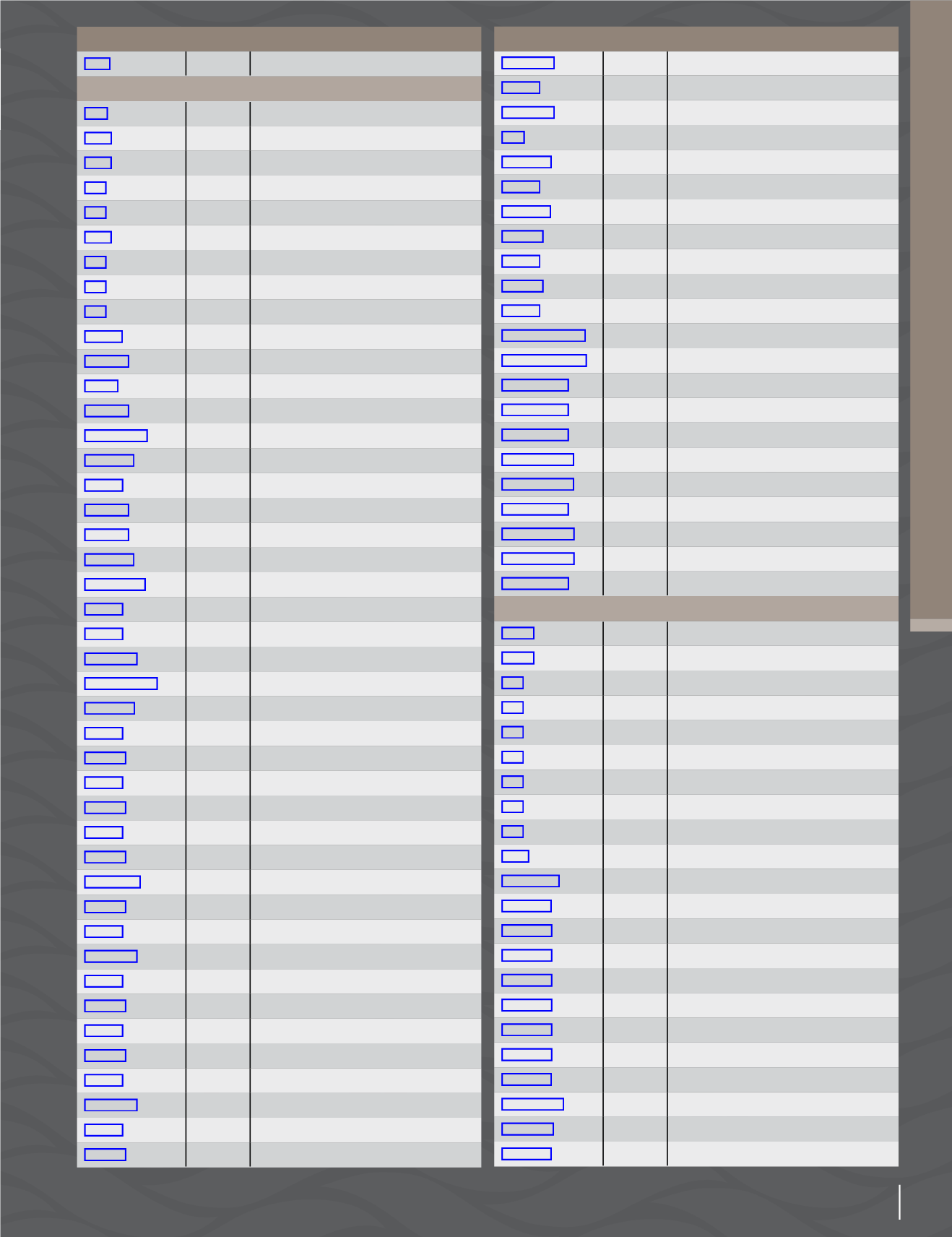 Page Background